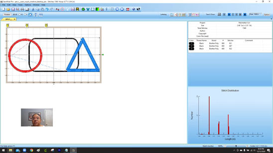 Sew What Pro Masters! Sunday Webinar